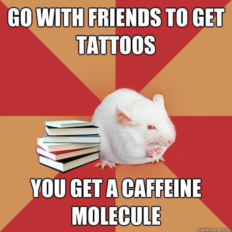 Image with a mouse and a stack of books in the center. The text is split above and below and reads: "Go with friends to get tattoos. You get a caffeine molecule."