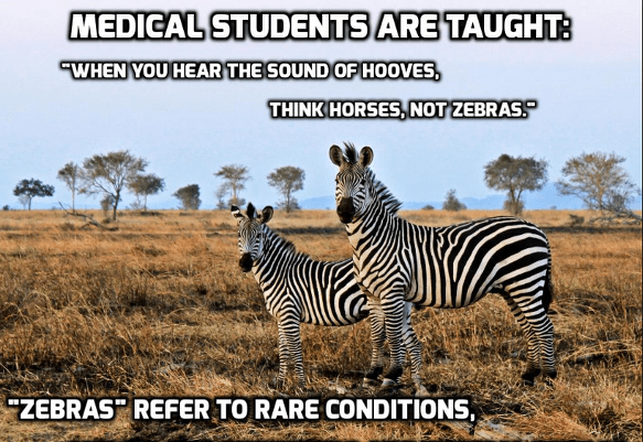 Image of two zebras, looking towards the camera, standing in a dried grassland, trees in the far background. The text on the image says "medical students are taught: "When you hear the sound of hooves, think horses, not zebras." "Zebras" refer to rare conditions."